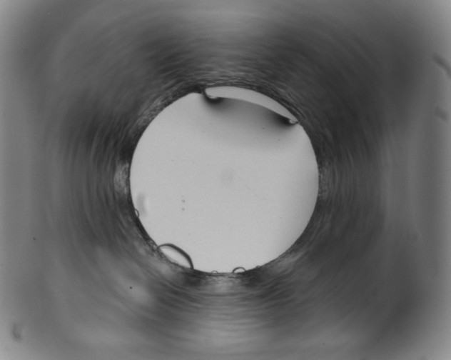 X0000099440286200806061051