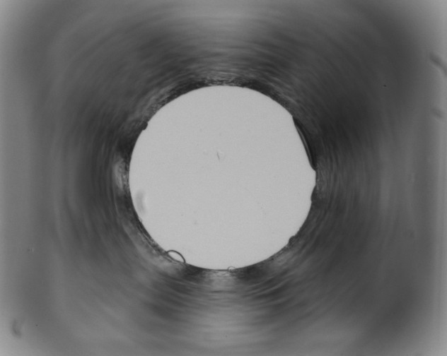 X0000099440287200806061051