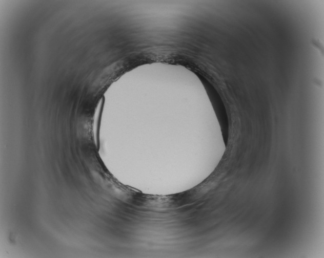 X0000099440288200806061051