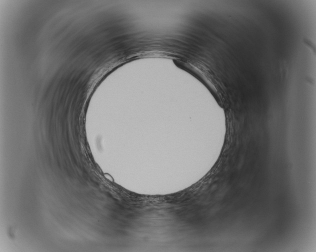 X0000099440289200806061050