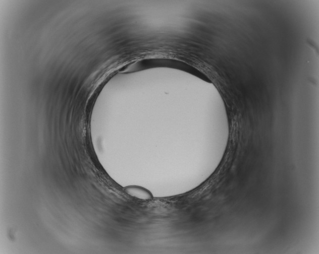 X0000099440290200806061050