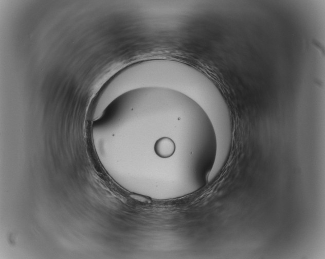 X0000099440292200806061050