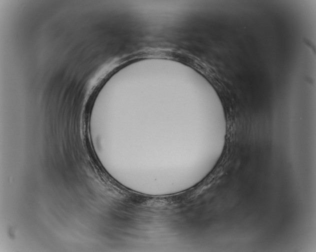 X0000099440294200806061050