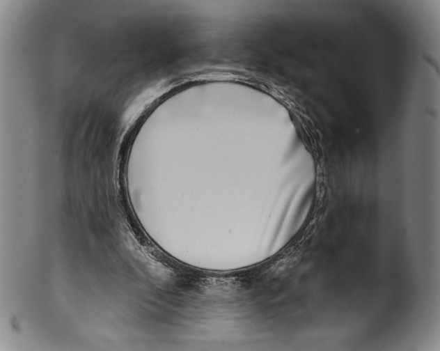 X0000099440296200806061050