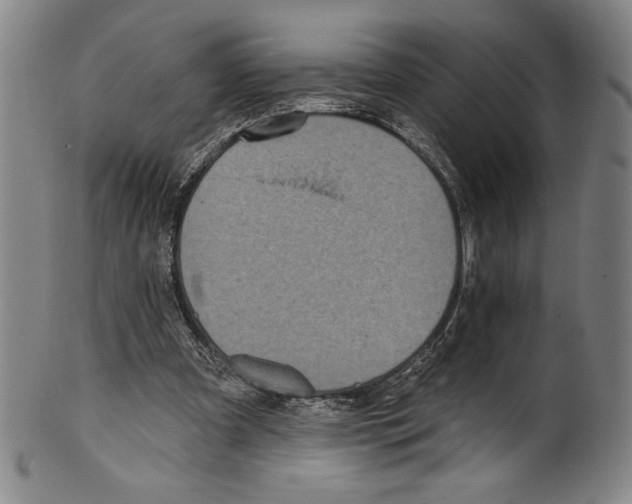 X0000099440297200806061050