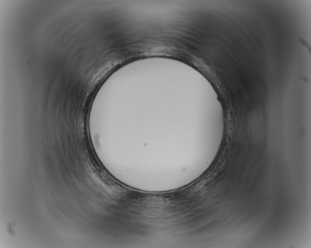 X0000099440298200806061050