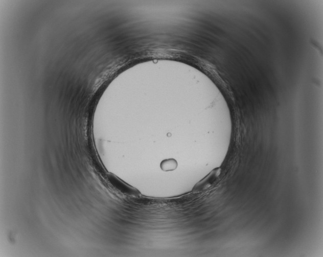 X0000099440299200806061050