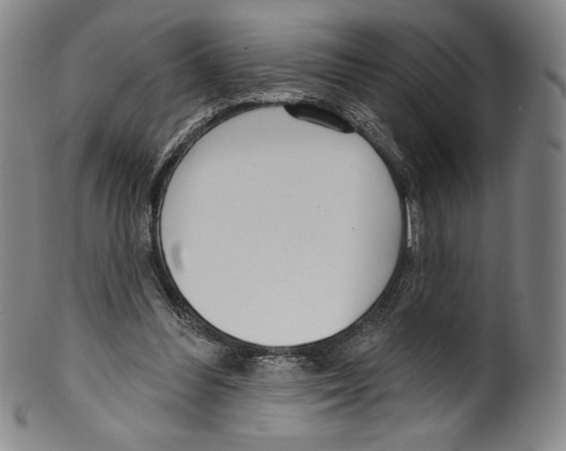 X0000099440300200806061050