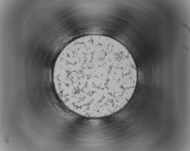 X0000099440302200806061050