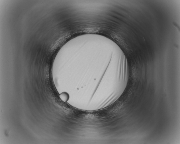 X0000099440303200806061050