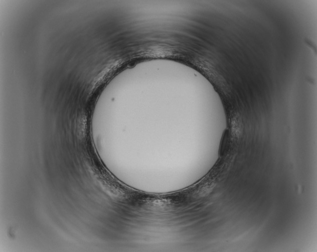 X0000099440304200806061050