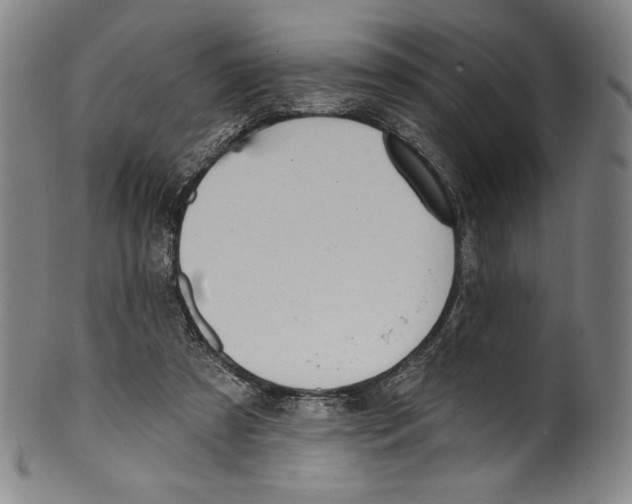 X0000099440305200806061050