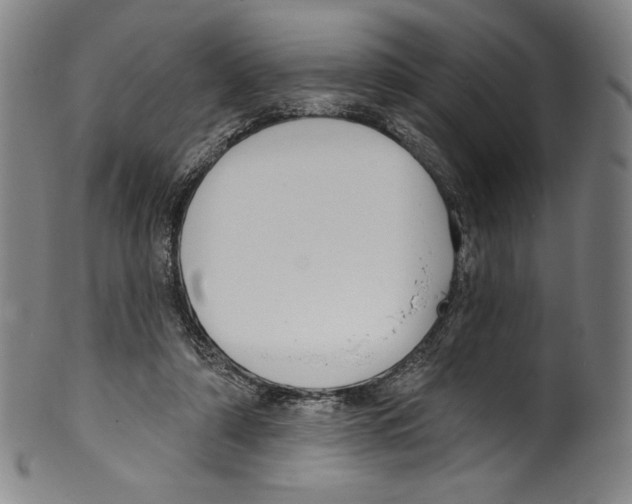 X0000099440306200806061050