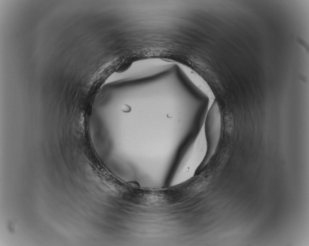 X0000099440308200806061050