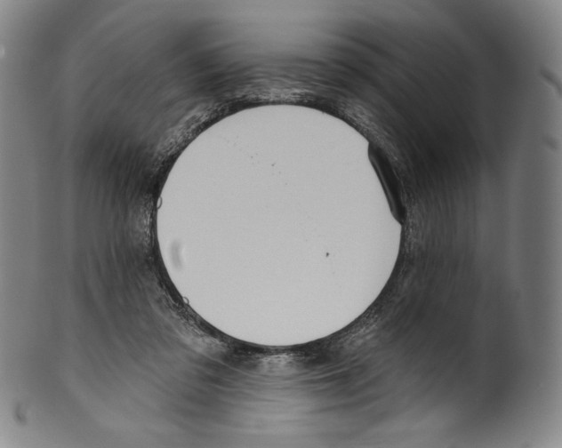 X0000099440309200806061050