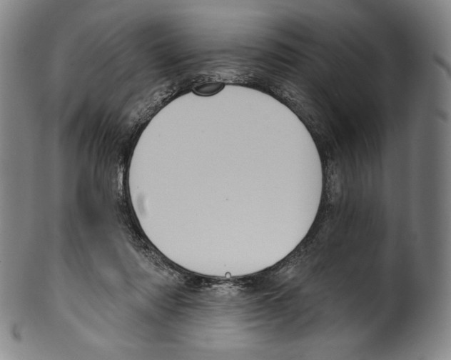 X0000099440310200806061050