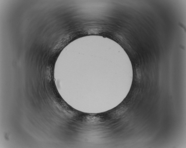 X0000099440311200806061050