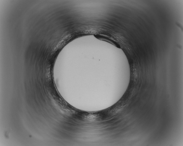 X0000099440312200806061050