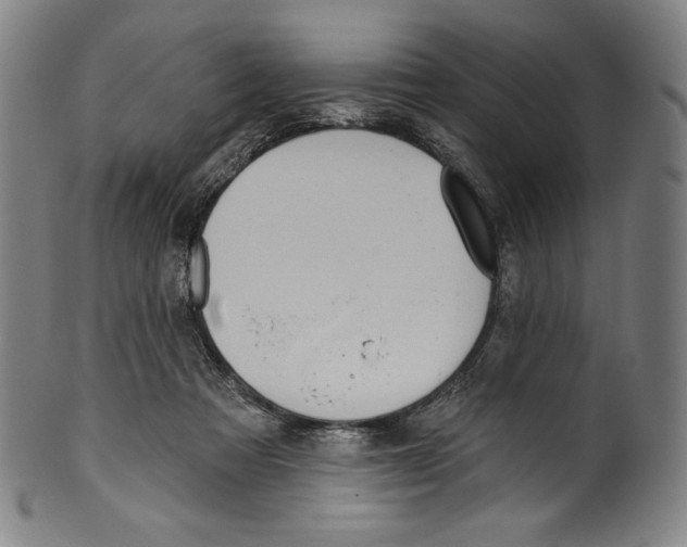 X0000099440313200806061050