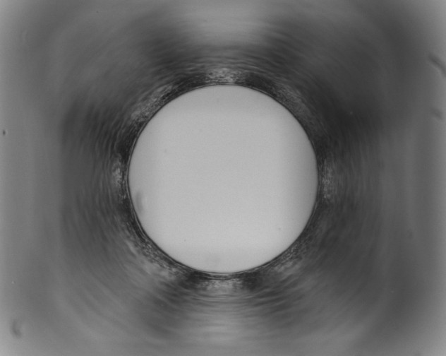 X0000099440314200806061050