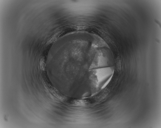 X0000099440316200806061050