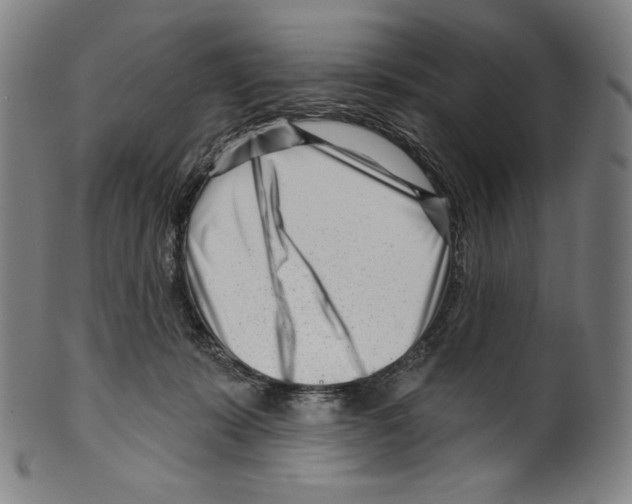 X0000099440319200806061050