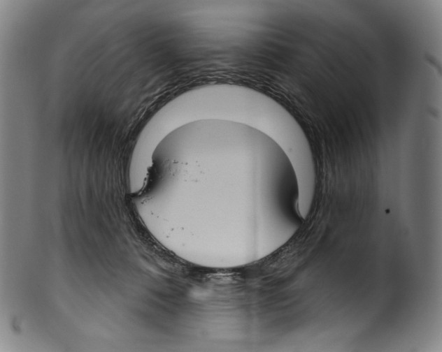 X0000099440320200806061050