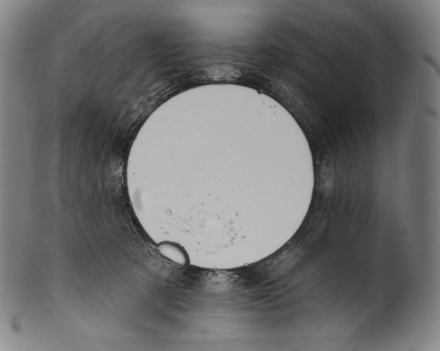 X0000099440321200806061050