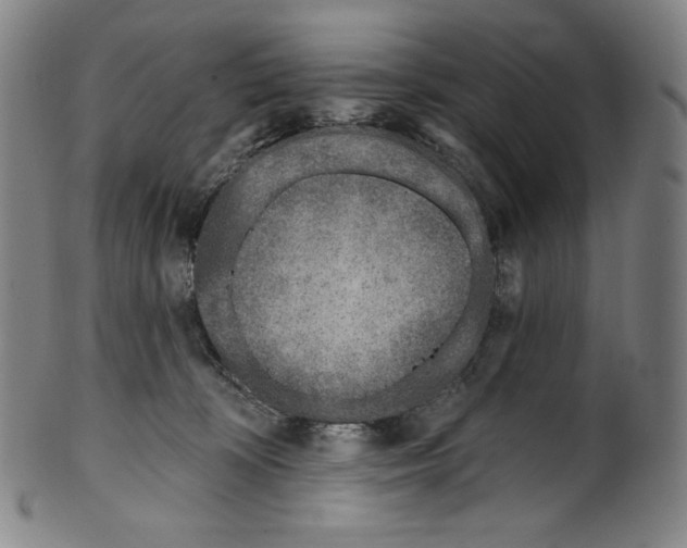 X0000099440324200806061050