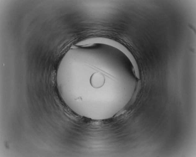 X0000099440325200806061050