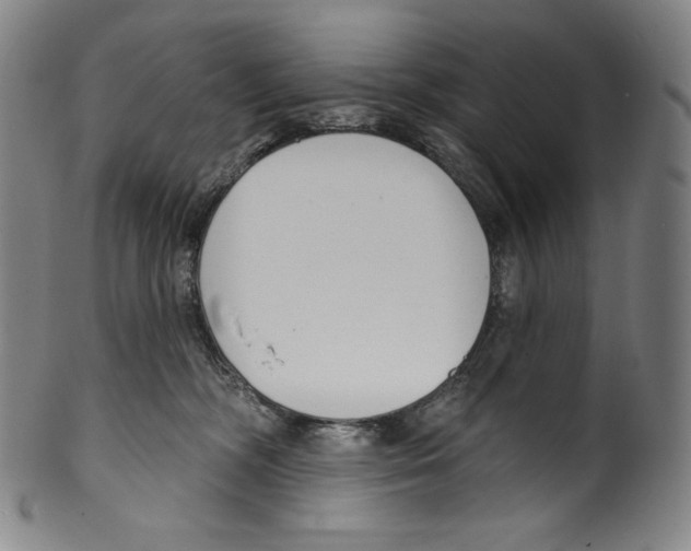 X0000099440326200806061050