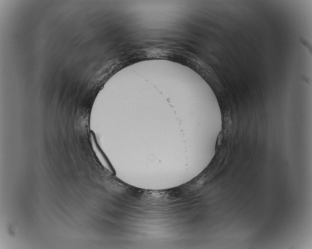 X0000099440329200806061050