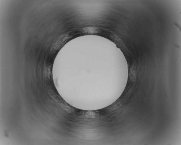 X0000099440330200806061050