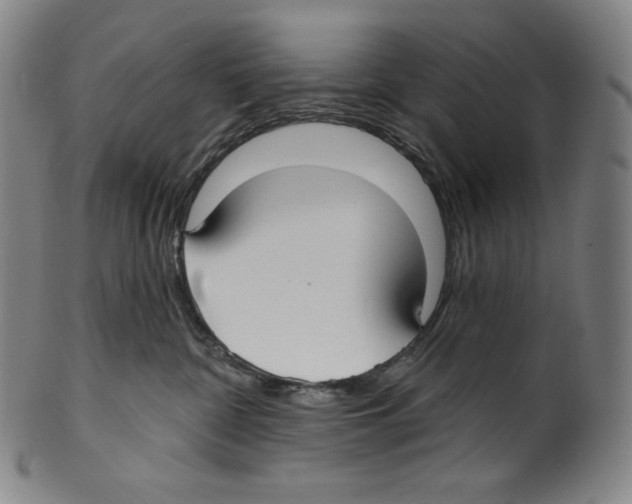 X0000099440332200806061050