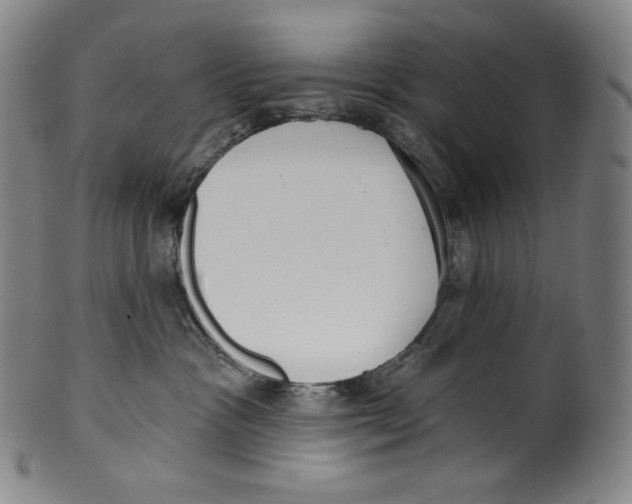 X0000099440333200806061050