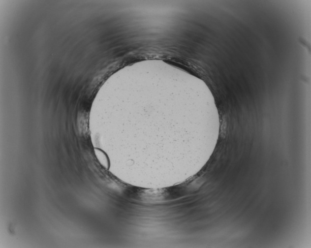 X0000099440335200806061050