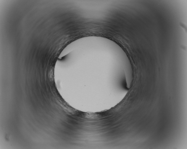 X0000099440336200806061050