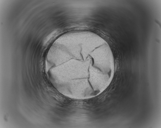 X0000099440339200806061049