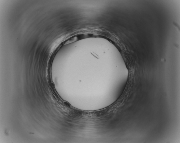 X0000099440340200806061049