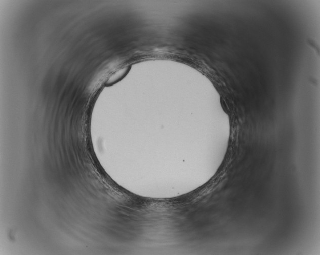 X0000099440341200806061049