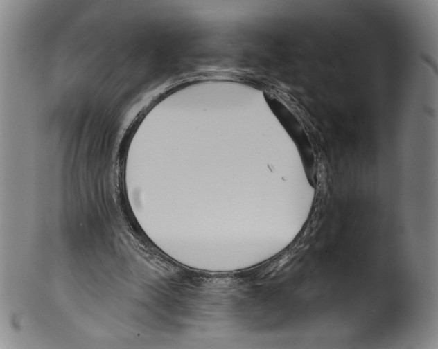 X0000099440342200806061049