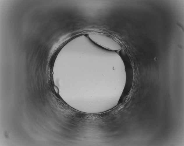 X0000099440343200806061049