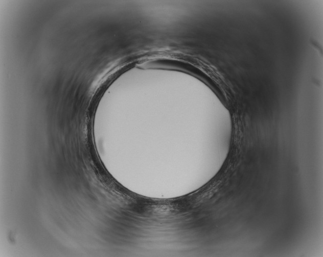 X0000099440344200806061049