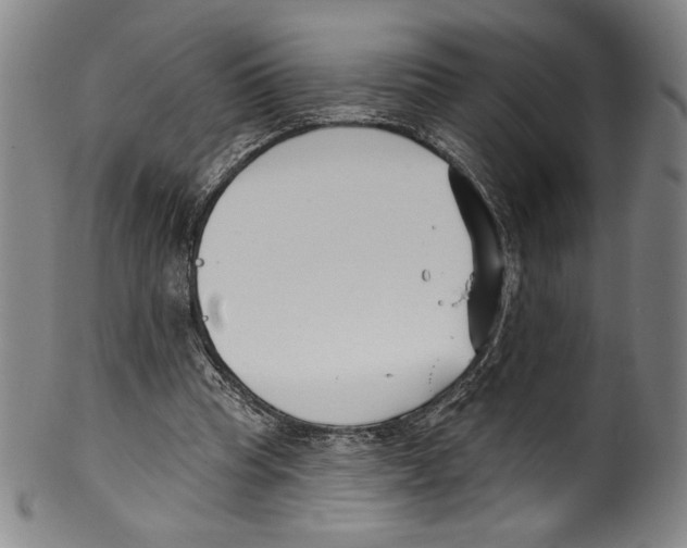 X0000099440345200806061049