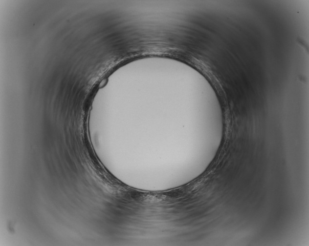 X0000099440346200806061049