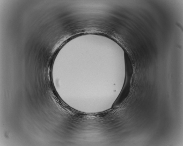 X0000099440347200806061049