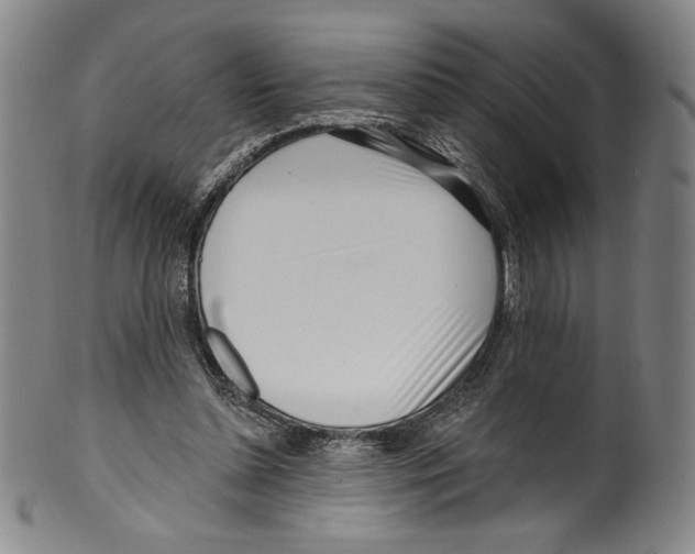 X0000099440348200806061049