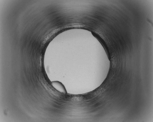 X0000099440350200806061049