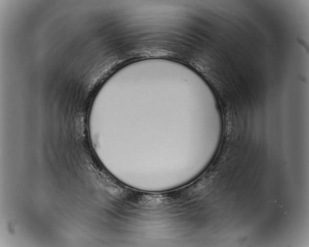 X0000099440351200806061049