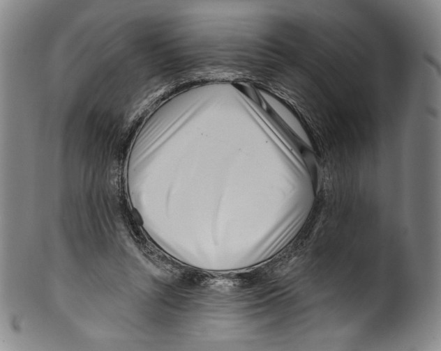 X0000099440352200806061049